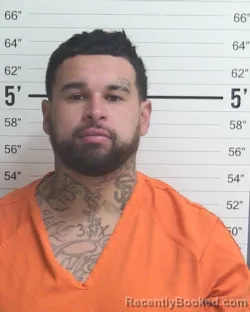 Mugshot of EMMANUEL SEBASTIN MENDOZA