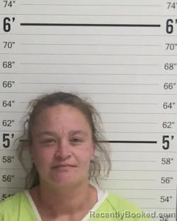 Mugshot of HOLLY ANN SHARICK