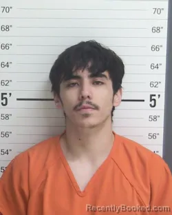 Mugshot of JAIME GONZALEZ