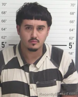 Mugshot of BRIAN LEE HILL