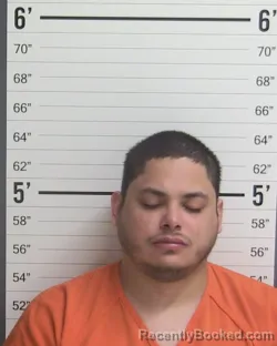 Mugshot of REGGIE BURGOS
