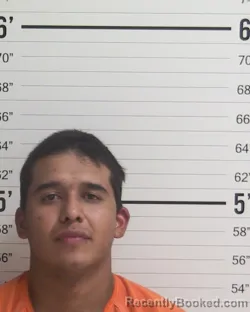 Mugshot of ALBERTO CORONA-BELTRAN