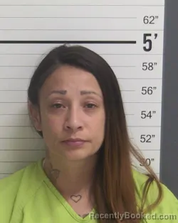 Mugshot of AMANDA RENEE DAVALOS