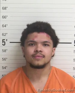 Mugshot of DORIAN JAMES STEWART