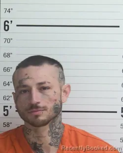 Mugshot of JOSE ALFREDO ACOSTA