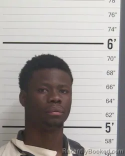 Mugshot of MARTAVIOUS SHATREL DANIELS