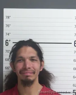 Mugshot of BILLY JO DODGE