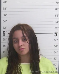 Mugshot of MARGARITA ELENA CHACON