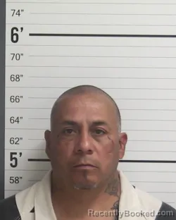 Mugshot of ROBERT RODRIGUEZ