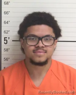 Mugshot of DORIAN JAMES STEWART