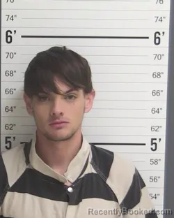 Mugshot of ARIAN NICHOLAS HERNANDEZ