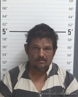 Mugshot of JESUS VARGAS