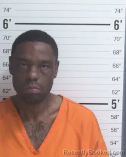 Mugshot of BRIAN LEE WALLACE STOTTS