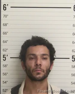 Mugshot of MYKAEL ANTHONY TELLES