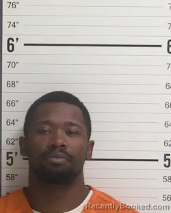 Mugshot of DANIELI ADRIAN WHITE