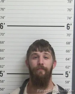 Mugshot of JOEL RODRIGUEZ