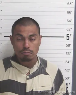 Mugshot of STEVE GARCIA