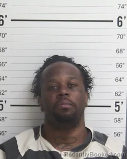 Mugshot of DEREKE LEVON HALL