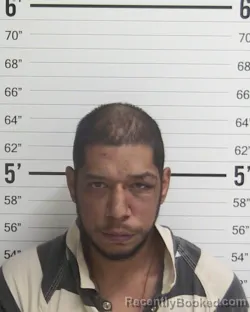 Mugshot of JUAN-JESUS PALOMO TARANGO