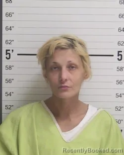 Mugshot of RACHEL L COX booked in Curry County, New Mexico on March 11, 2026