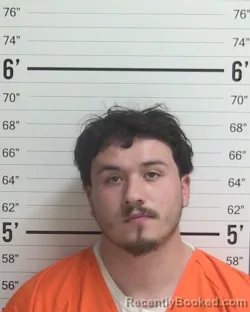 Mugshot of DOMINIQUE LUCERO