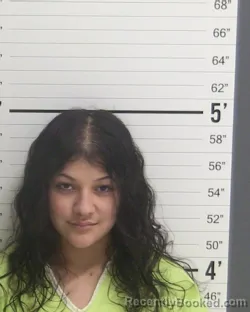 Mugshot of JENNIFER JAMIE MEZA