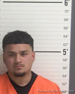 Mugshot of PEDRO SEBASTIAN ANDRADE