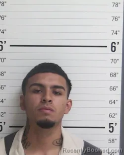 Mugshot of CARLOS GUTIERREZ-CASTANEDA
