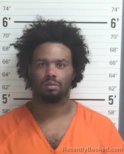 Mugshot of THEODORE ROBINSON