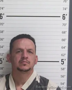 Mugshot of LOUIE ROBERT MAES