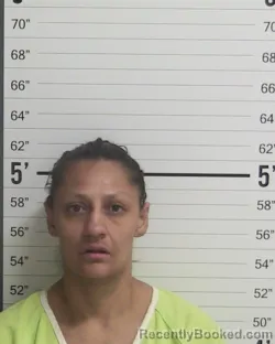 Mugshot of LINZY GARCIA