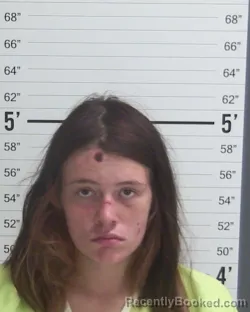 Mugshot of DESTINEE CERNA booked in Curry County, New Mexico on March 23, 2026