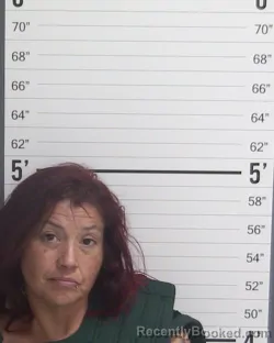 Mugshot of ANA M ROMERO booked in Curry County, New Mexico on March 24, 2026