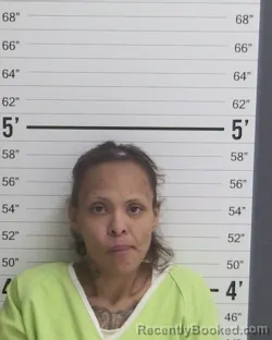 Mugshot of AMANDA JEAN HERNANDEZ booked in Curry County, New Mexico on March 28, 2026