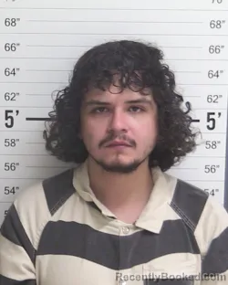 Mugshot of SANCELSO ANGEL LONGORIA booked in Curry County, New Mexico on March 30, 2026