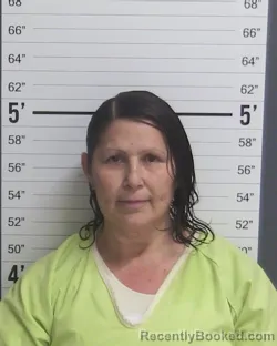 Mugshot of PRISCILLA SILVA booked in Curry County, New Mexico on March 31, 2026