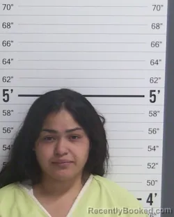 Mugshot of MELISSA REYES booked in Curry County, New Mexico on April 27, 2026