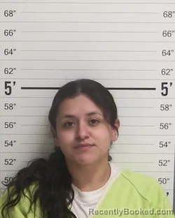 Mugshot of HEAVEN NICHOLE HENDREN booked in Curry County, New Mexico on May 5, 2026
