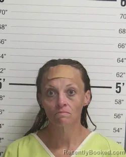 Mugshot of CHENILLE GENENEANE PEASNALL booked in Curry County, New Mexico on May 15, 2026