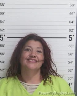 Mugshot of ANA M ROMERO booked in Curry County, New Mexico on May 20, 2026