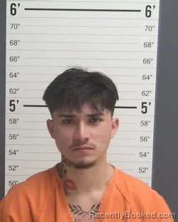 Mugshot of MISAEL FLORES booked in Curry County, New Mexico on June 7, 2026
