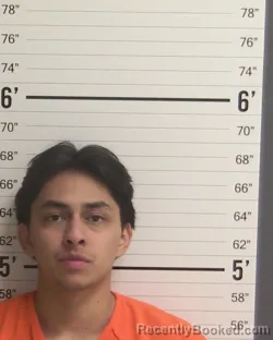 Mugshot of DANIEL TELLEZ booked in Curry County, New Mexico on June 11, 2026