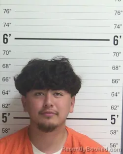 Mugshot of JUANITO RAUL HERNANDEZ booked in Curry County, New Mexico on June 23, 2026
