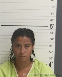 Mugshot of CRYSTAL WILBOURN booked in Curry County, New Mexico on June 24, 2026