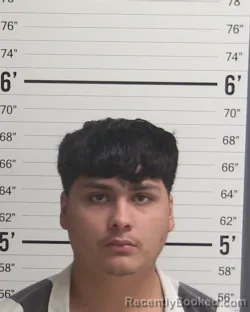 Mugshot of ERICK CERON booked in Curry County, New Mexico on June 25, 2026
