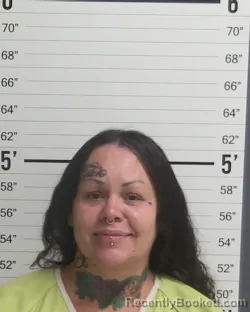 Mugshot of ROXANNE ANCIRA DIXON booked in Curry County, New Mexico on June 26, 2026