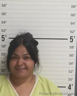 Mugshot of MELISSA REYES booked in Curry County, New Mexico on July 7, 2026