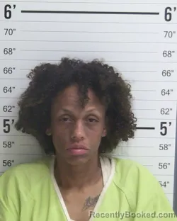 Mugshot of OLIVIA HINES booked in Curry County, New Mexico on July 7, 2026
