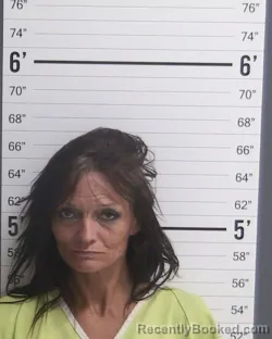 Mugshot of RACHEL CANDACE PEARSE booked in Curry County, New Mexico on July 27, 2026