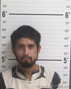 Mugshot of CARLOS ALEX DELGADO booked in Curry County, New Mexico on July 28, 2026
